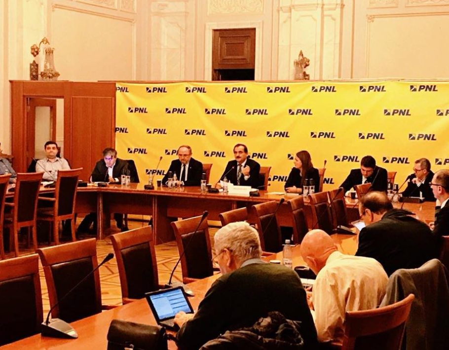 Intalnire PNL Senat